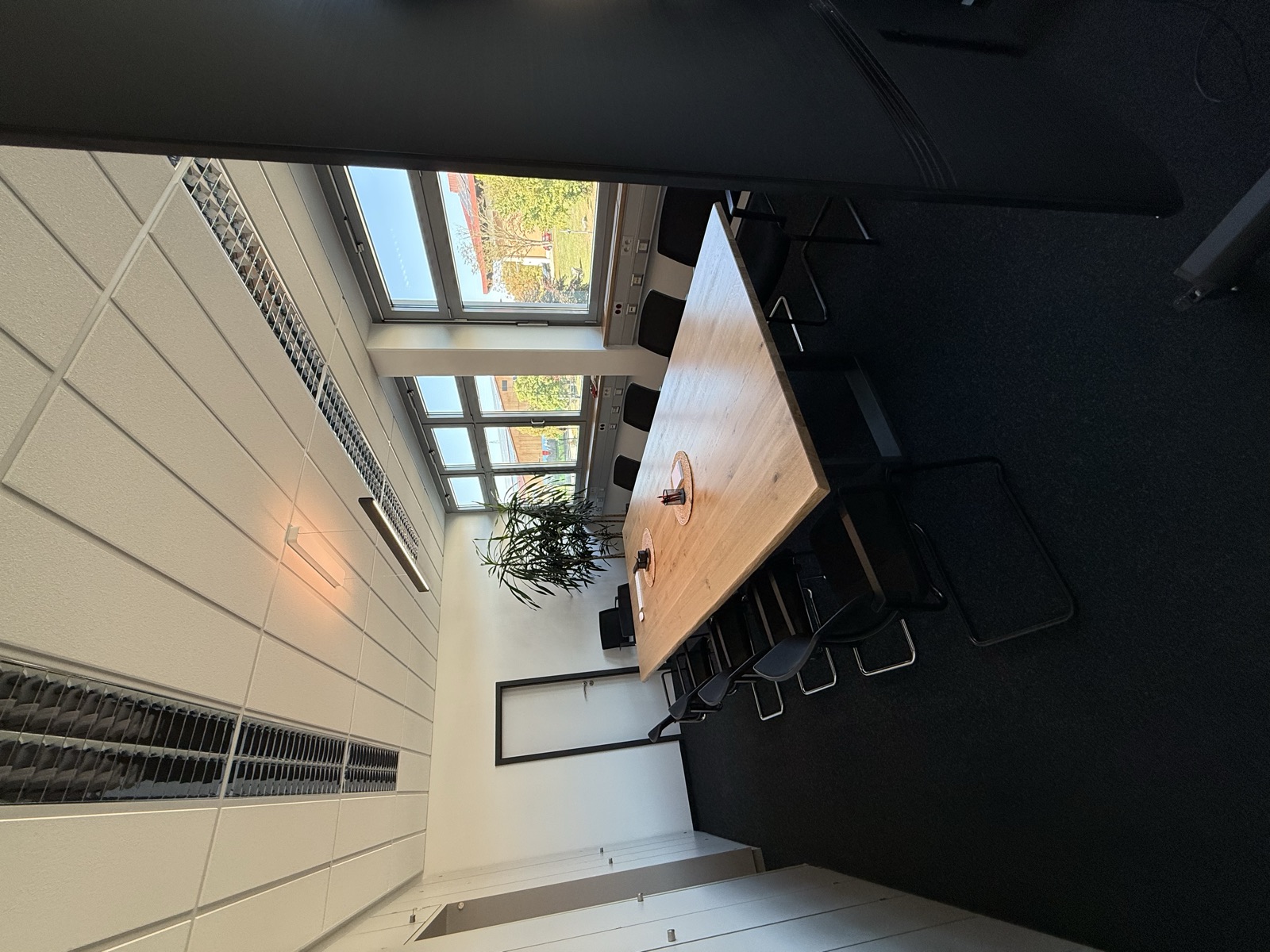 Besprechungsraum mit Pflanze und Fensterfront